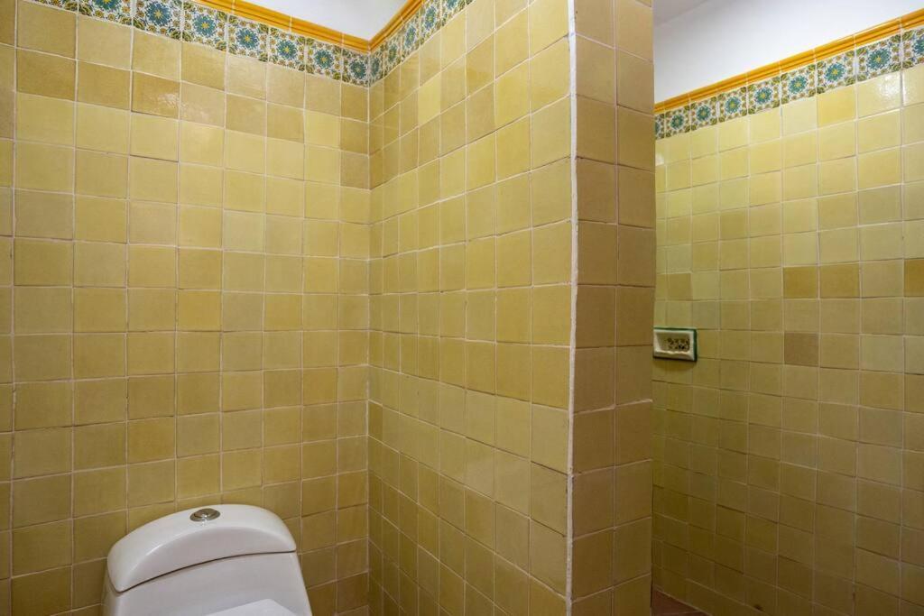 Amapola Loft Apartman San Miguel de Allende Kültér fotó